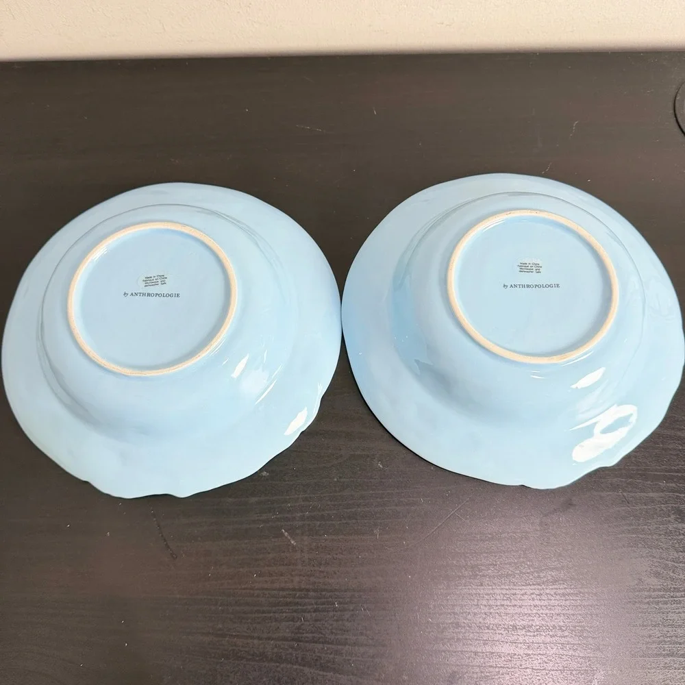 Anthropologie Blue Foster Daisy Ceramic Pasta Bowls Set of 2 Floral Boho 9in